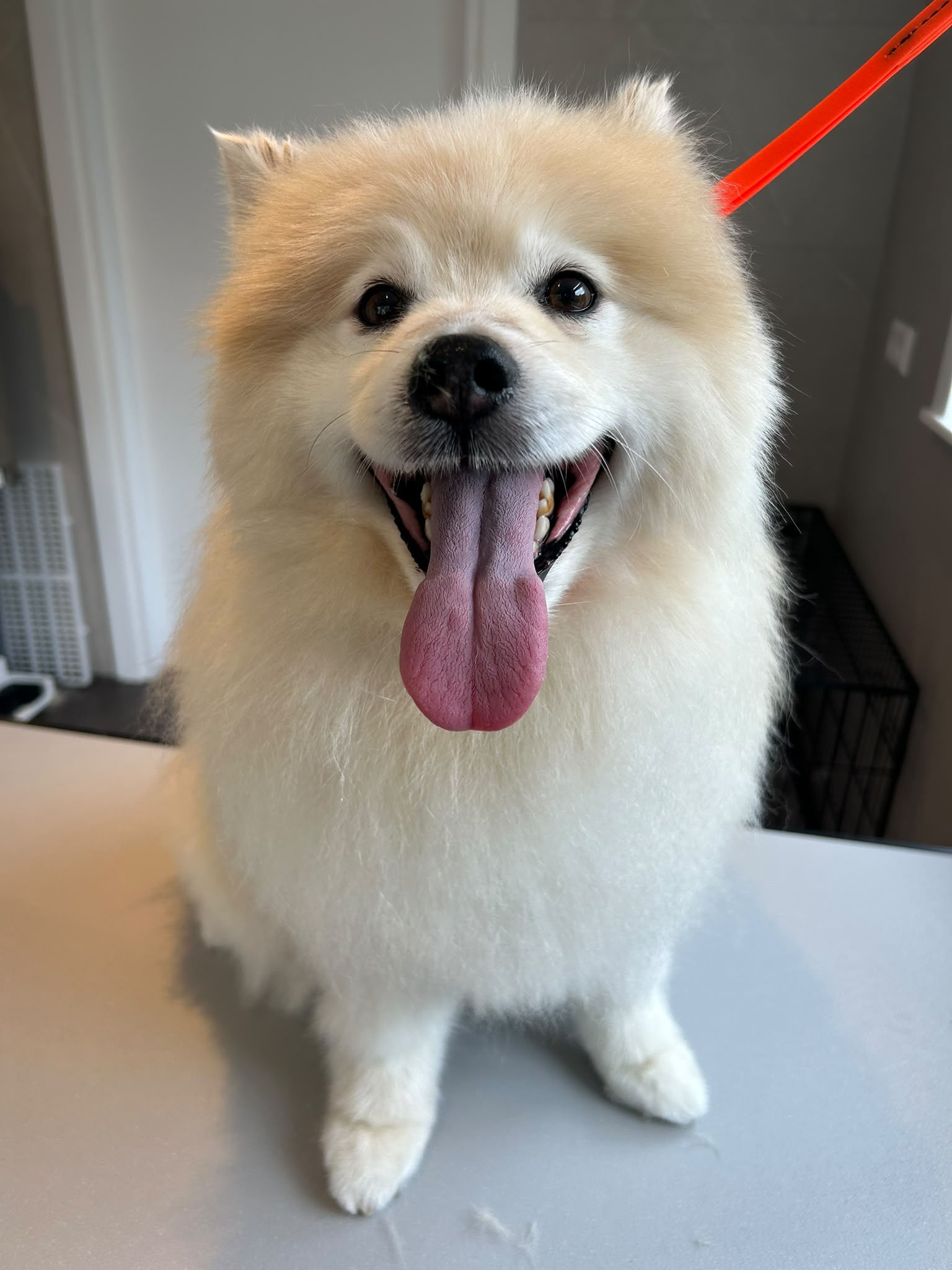 Na — Chico