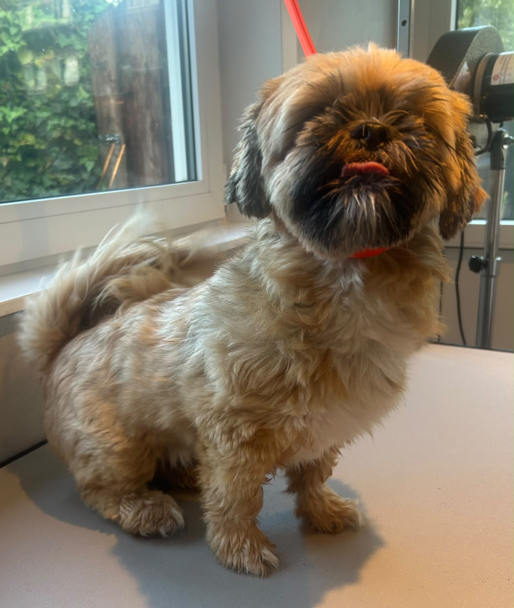 Voor — Bailey