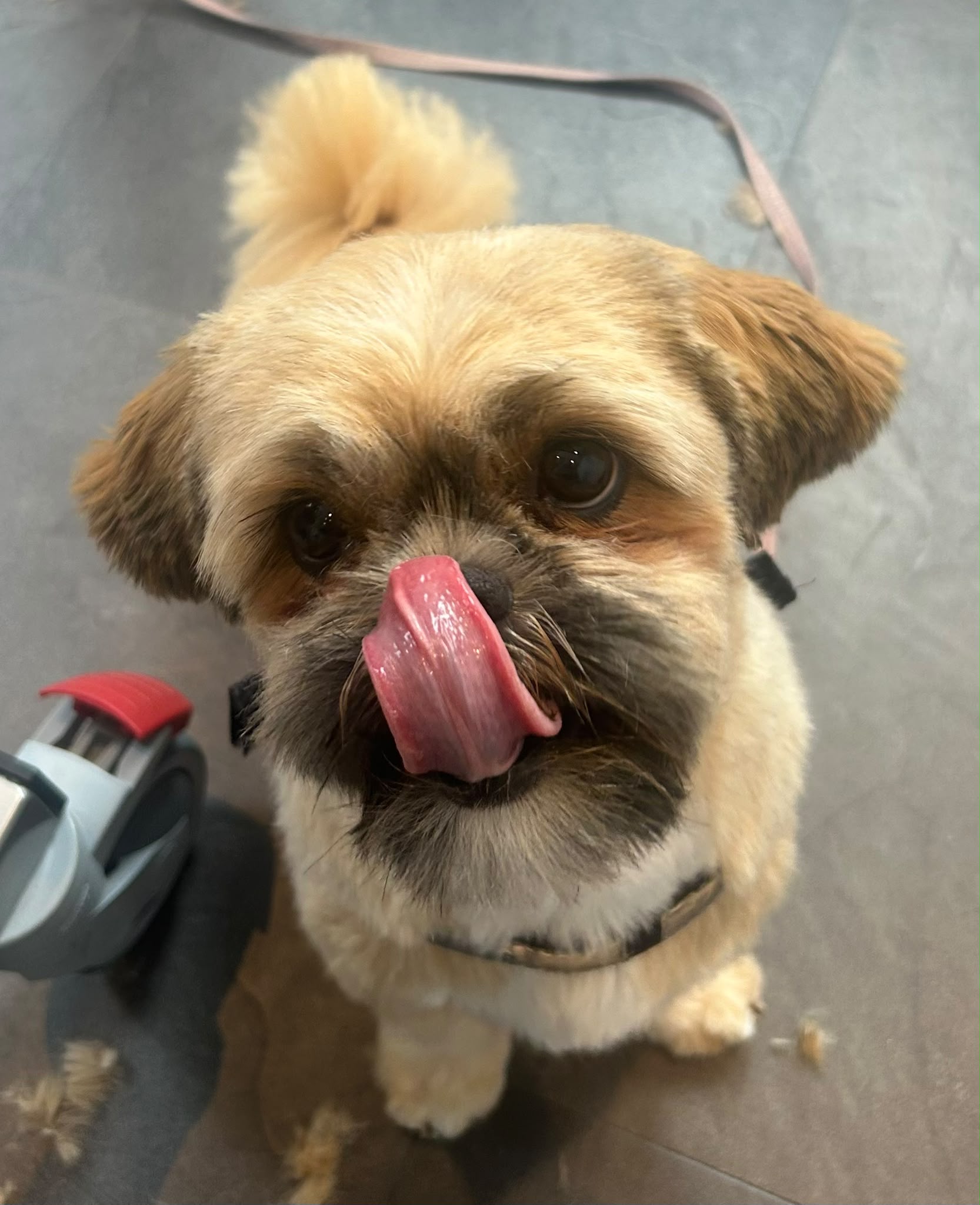 Na — Bailey